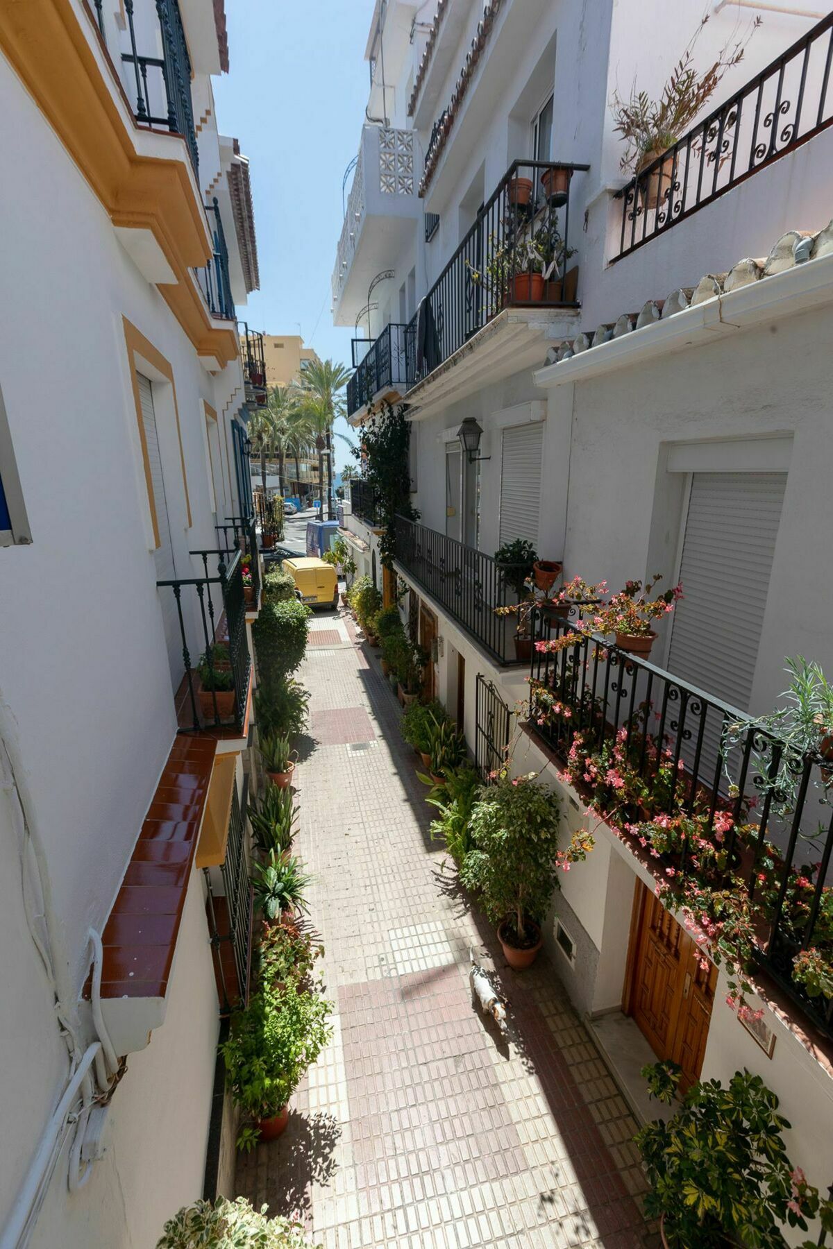 Hostal La Pilarica Marbella Dış mekan fotoğraf