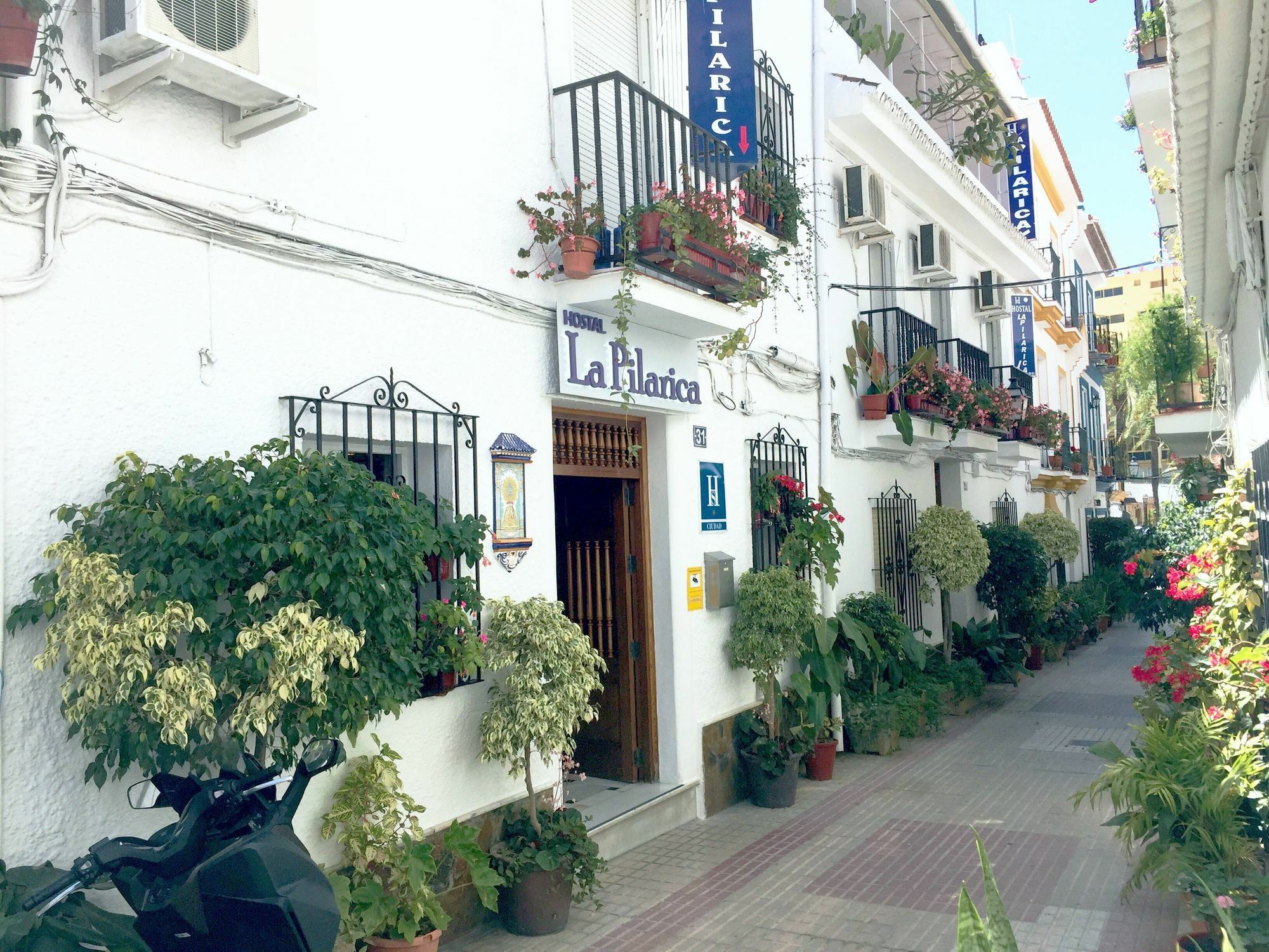 Hostal La Pilarica Marbella Dış mekan fotoğraf