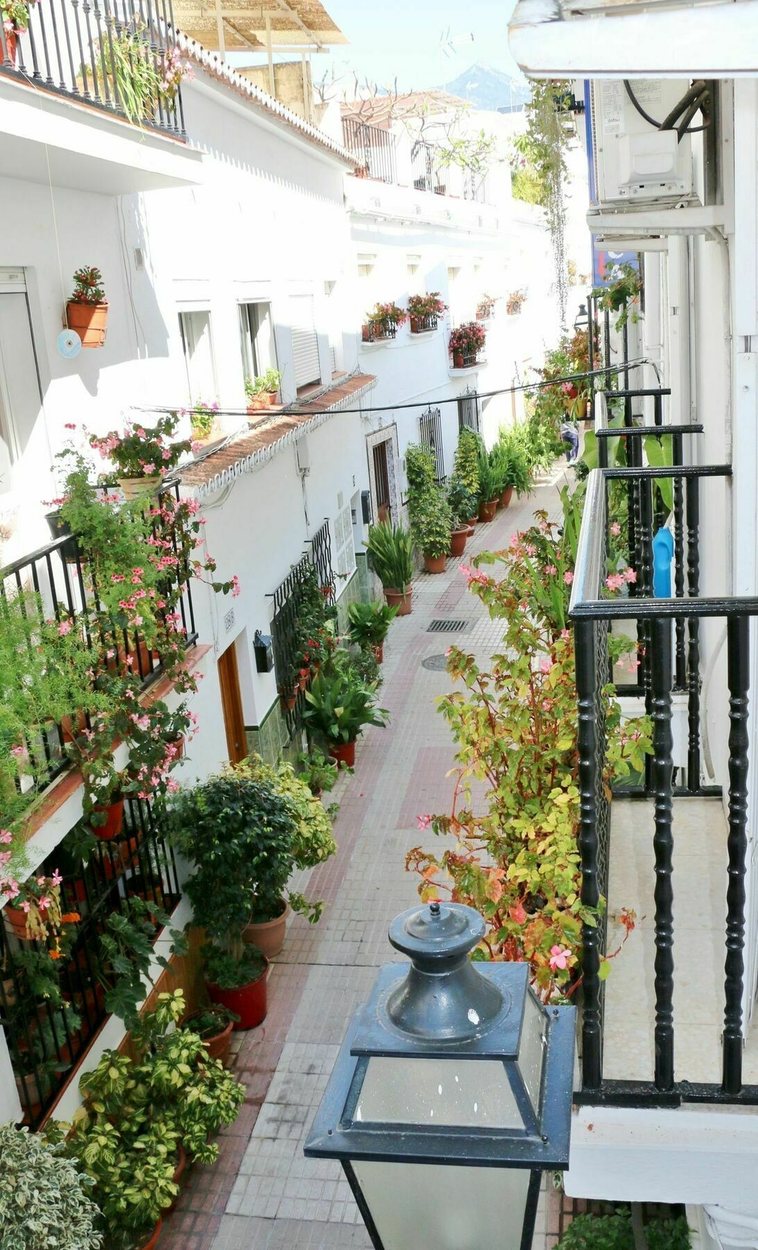 Hostal La Pilarica Marbella Dış mekan fotoğraf