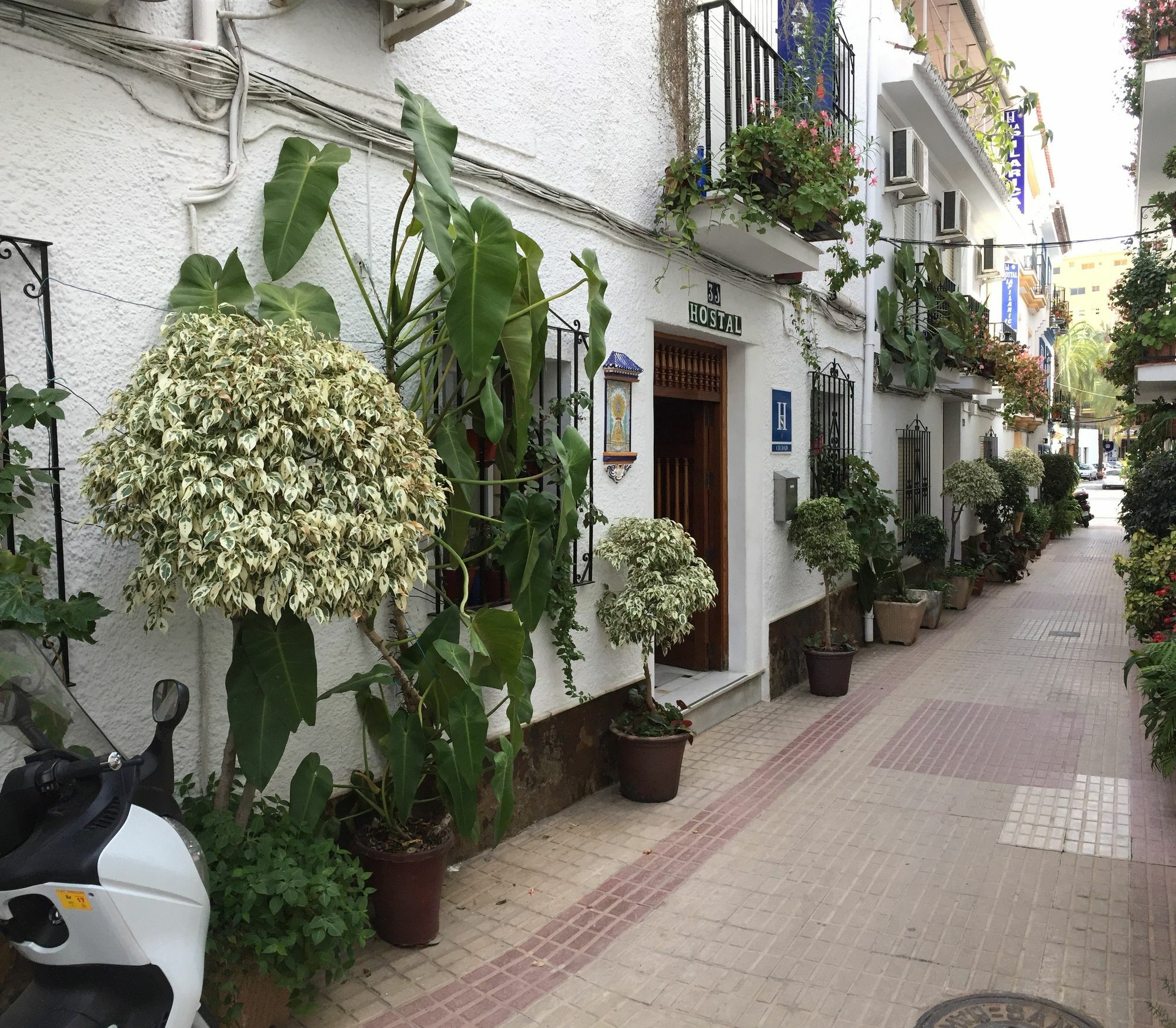 Hostal La Pilarica Marbella Dış mekan fotoğraf